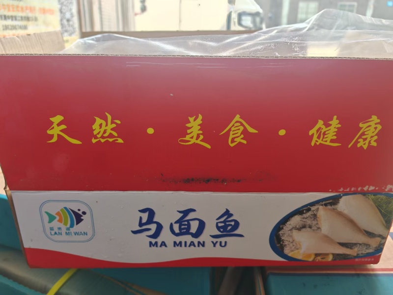 马面鱼10斤干冰剥皮鱼玻璃鱼扒皮鱼规格一斤95条左右