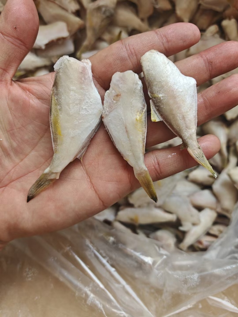马面鱼10斤干冰剥皮鱼玻璃鱼扒皮鱼规格一斤95条左右