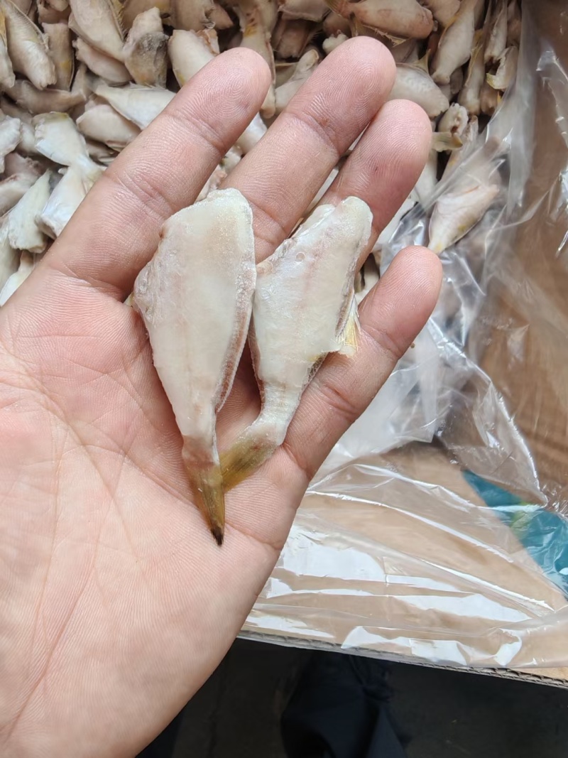 马面鱼10斤干冰剥皮鱼玻璃鱼扒皮鱼规格一斤95条左右