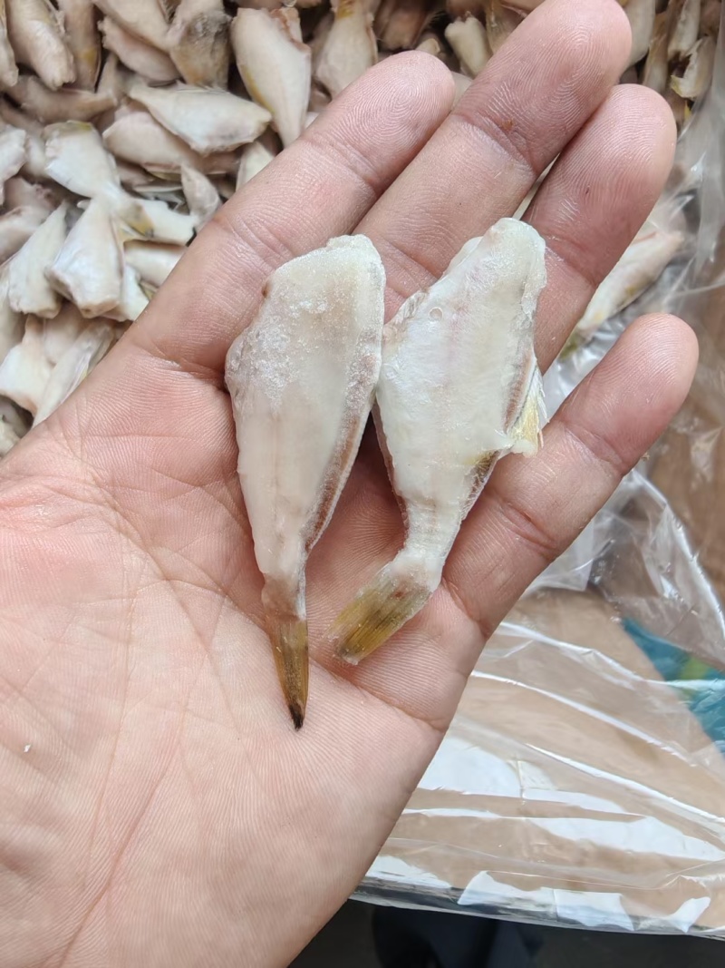 马面鱼10斤干冰剥皮鱼玻璃鱼扒皮鱼规格一斤95条左右