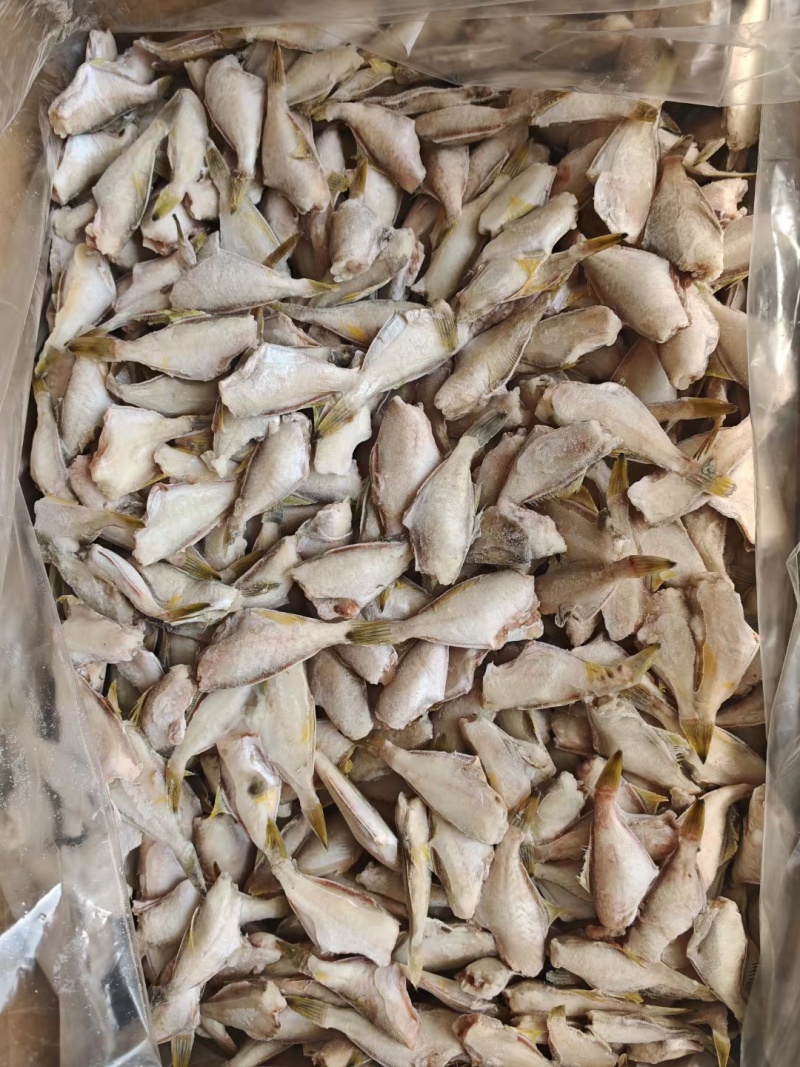 马面鱼10斤干冰剥皮鱼玻璃鱼扒皮鱼规格一斤95条左右