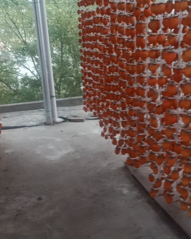 柿饼丶