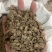 川牛膝无硫川牛膝片甜牛膝段实拍选装大片现货川牛夕