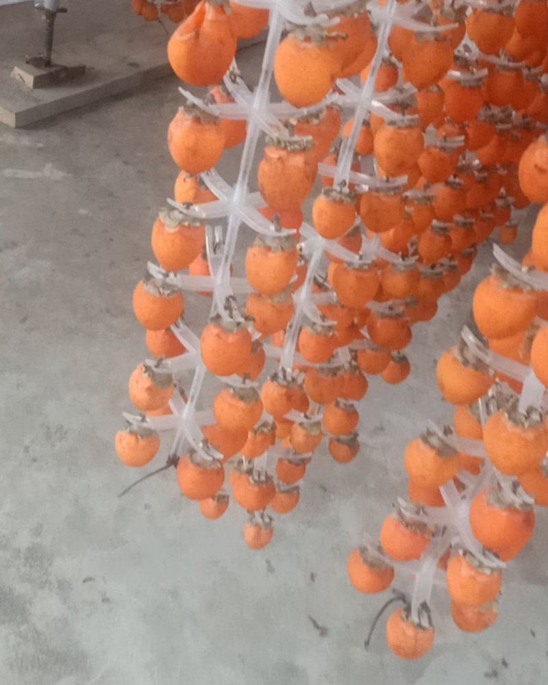 柿饼丶
