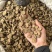 川牛膝无硫川牛膝片甜牛膝段实拍选装大片现货川牛夕