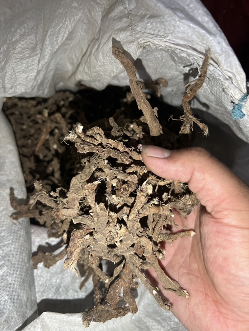 全网低价货源充足优选石菖蒲等你选购欢迎联系