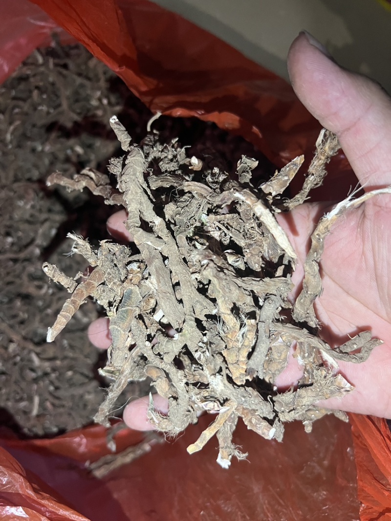 全网低价货源充足优选石菖蒲等你选购欢迎联系