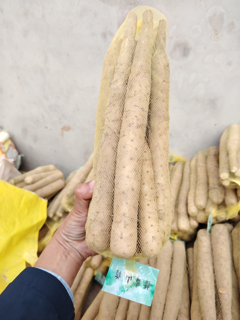 （精品）麻山药，1路，2路，3路，欢迎新老顾客