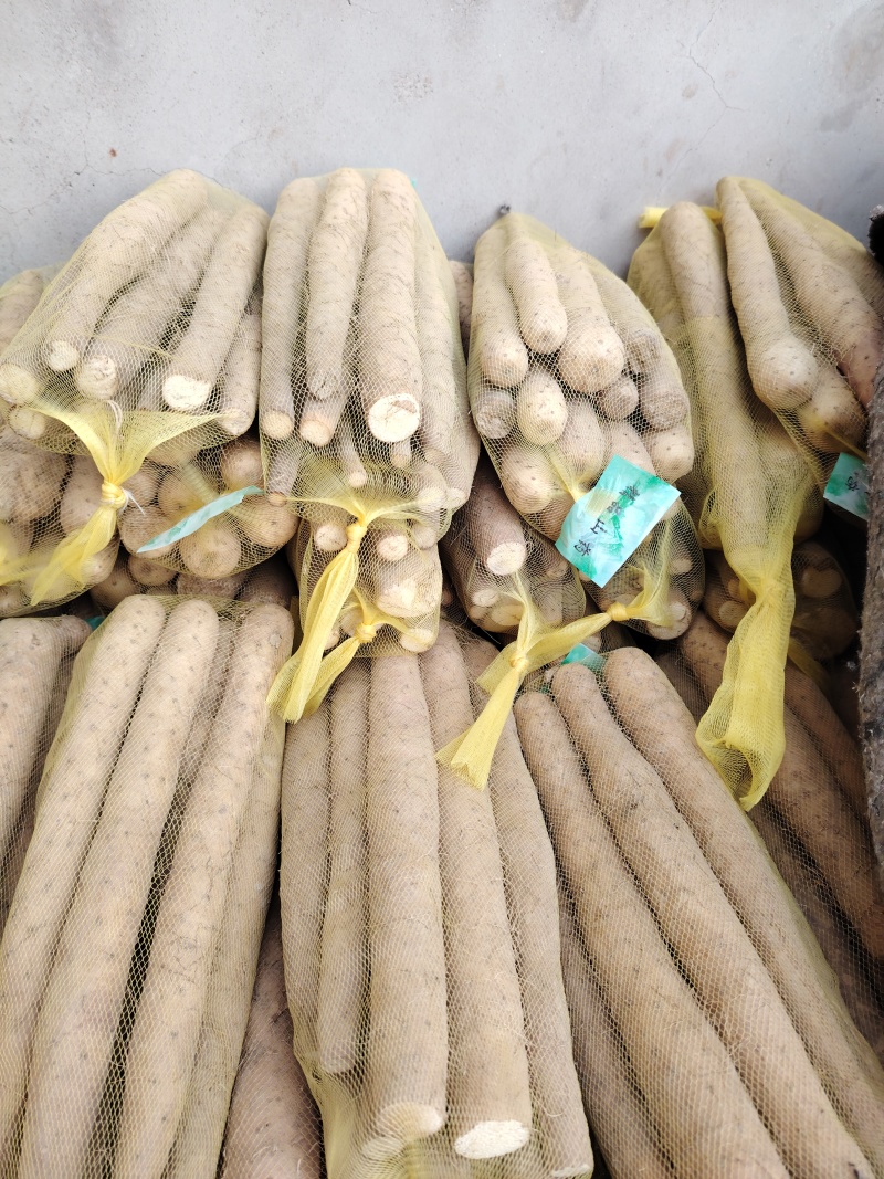 （精品）麻山药，1路，2路，3路，欢迎新老顾客