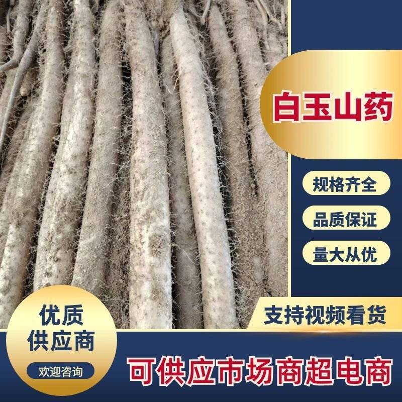 山西优质白玉山药，现在接受打点先挖先卖自家种植，量大从优