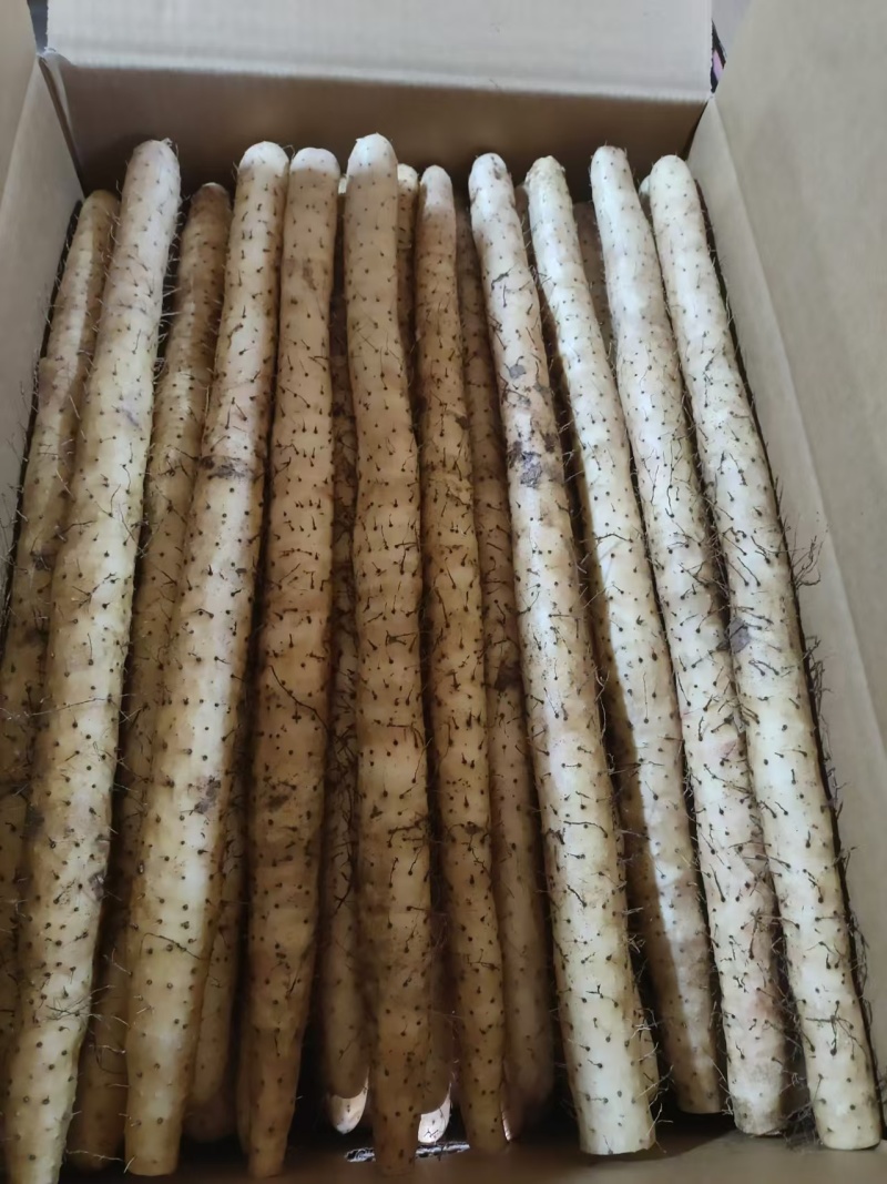 大量各种规格包装现货供应支持订做希望广大客户选购