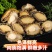 冷冻鲍鱼肉大量有货，一手货源，对接全国市场电商平台