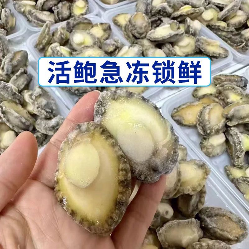 冷冻鲍鱼肉大量有货，一手货源，对接全国市场电商平台