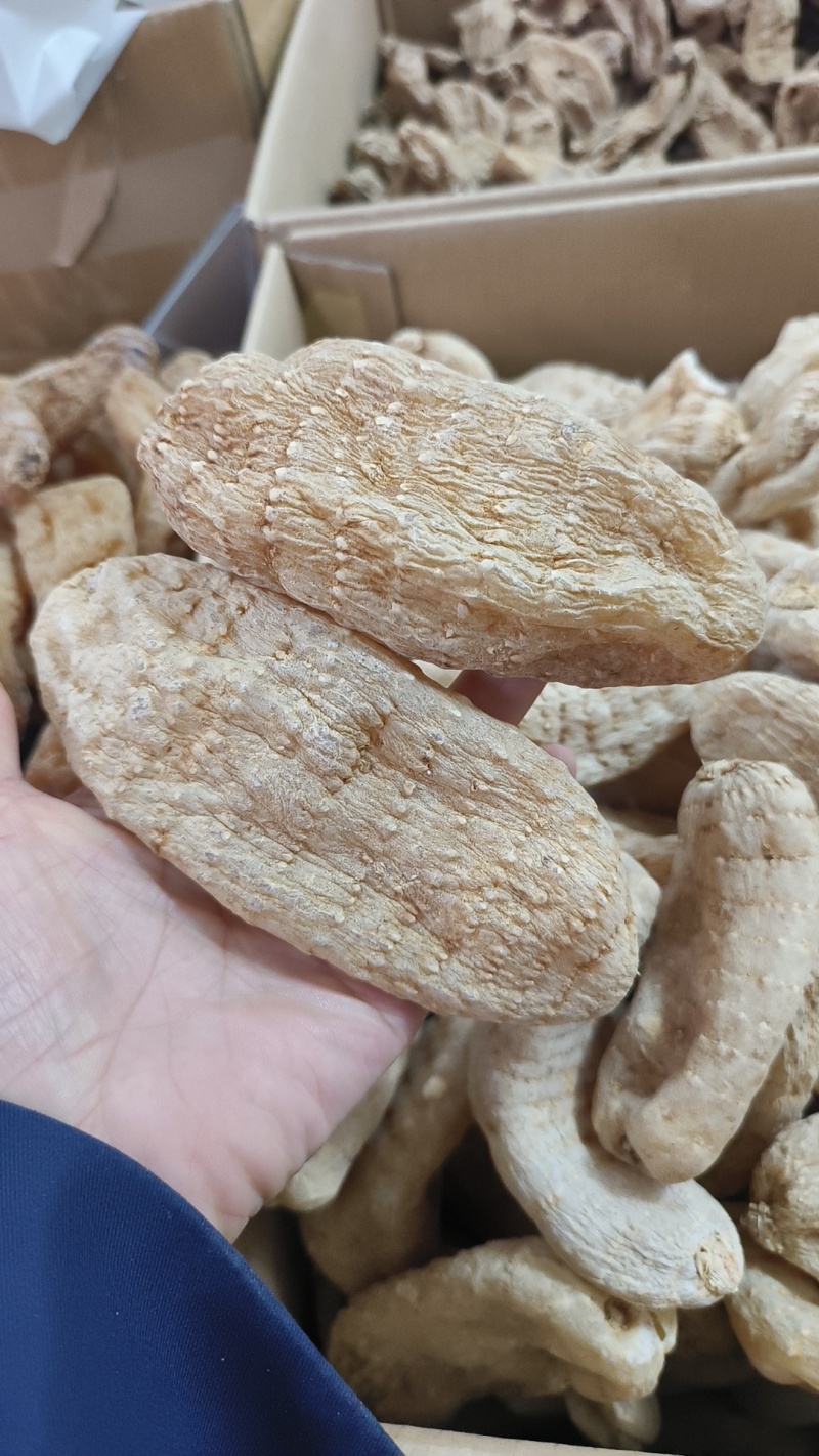 云南昭通天麻个大个天麻纯干一斤10个左右包邮