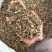 白头翁无硫白头公正品白头草别名野丈人实拍现货