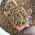 白头翁无硫白头公正品白头草别名野丈人实拍现货