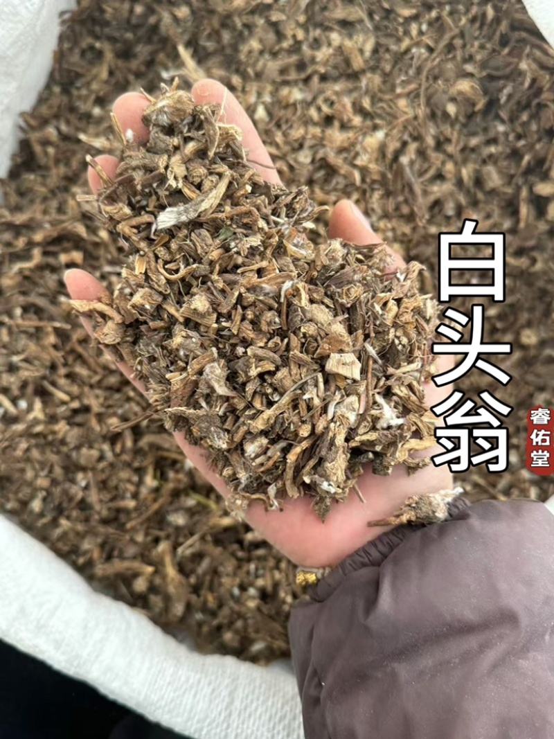 白头翁无硫白头公正品白头草别名野丈人实拍现货