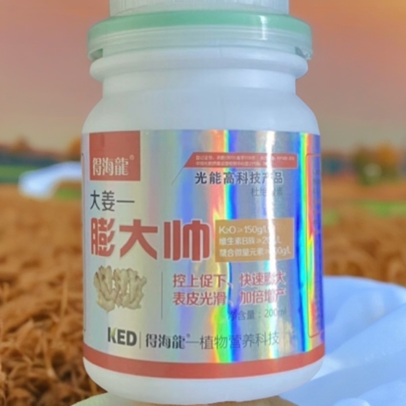 大姜土豆膨大帅控上促下增大增产表皮光滑大姜土豆膨大