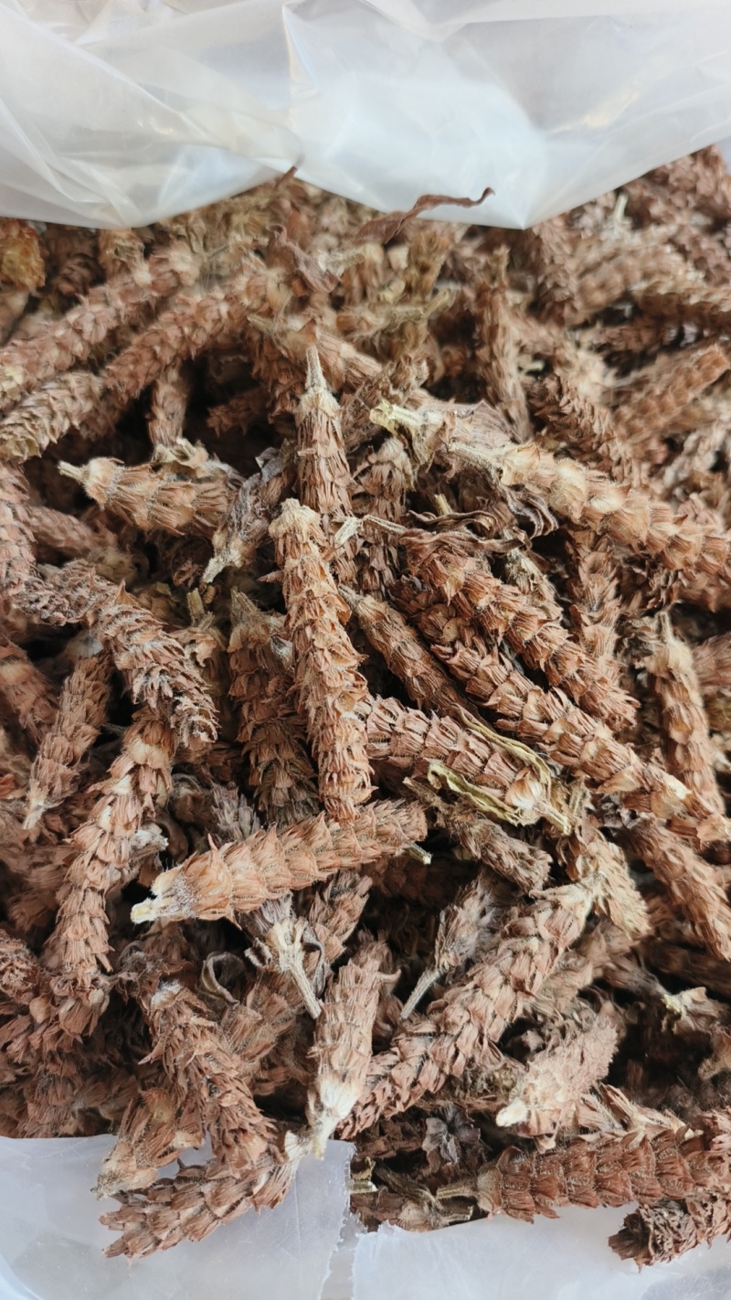 夏枯球，人工挑选穗头，颜色靓丽，产地直发，欢迎批发零售！