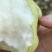 精品早酥梨