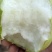 精品早酥梨