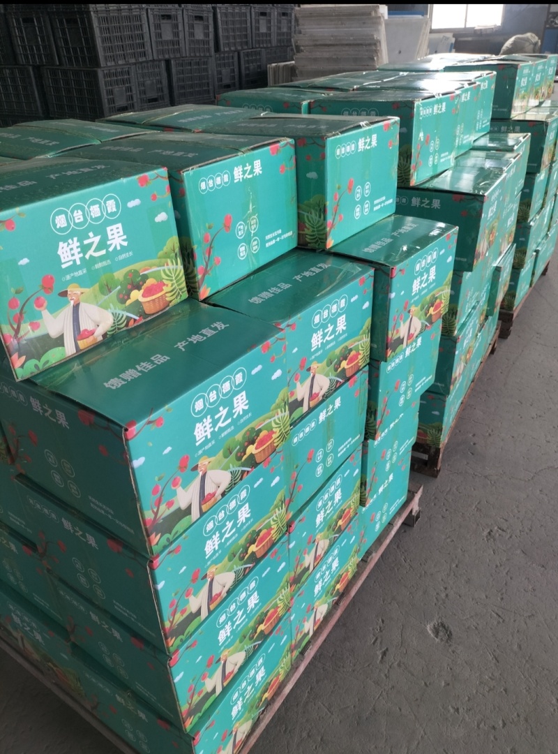 【一件代发】山东烟台栖霞黄金奶油富士一手货源产地直发代发