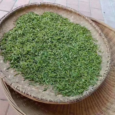 石笋野生茶生长于深山老林，云雾环绕之中，以手工杀青，木炭
