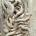 小海虾