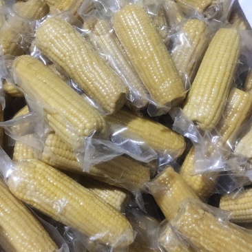 出售真空包装糯玉米