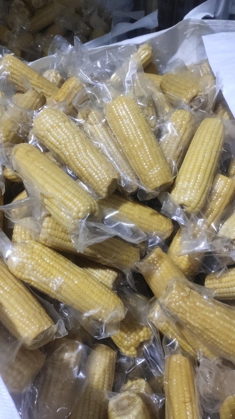 出售真空包装糯玉米