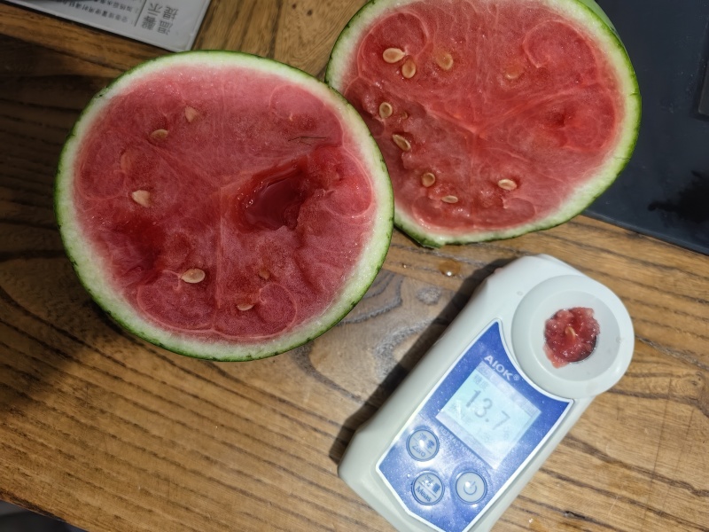 西瓜全美2k西瓜小吊瓜大量有货产地直销一手货源