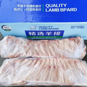 羊标排