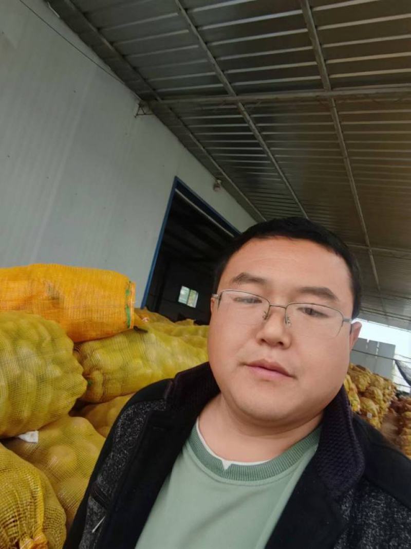 土豆种子微型薯