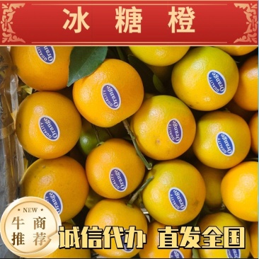 冰糖橙口感好糖度高电商货通货商超量大从优产地直发