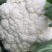 花菜松花菜散花安徽砀山松花菜产地直供货源充足