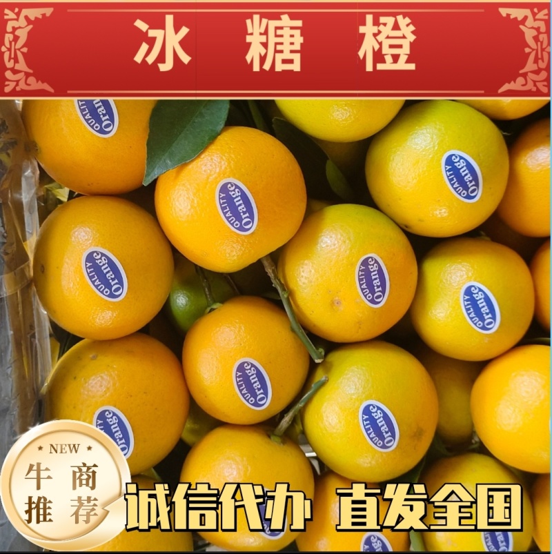 冰糖橙口感好糖度高电商货通货商超量大从优产地直发