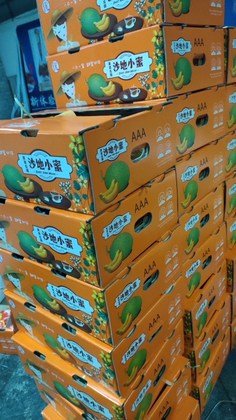 哈密瓜晓蜜25海南货源大量有货全国发货保质保量