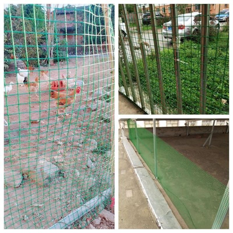 1.5厘防锈小孔铁丝网养鸡鸭鹅养殖网果园菜园围栏阳台鸽兔