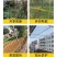 1.5厘防锈小孔铁丝网养鸡鸭鹅养殖网果园菜园围栏阳台鸽兔