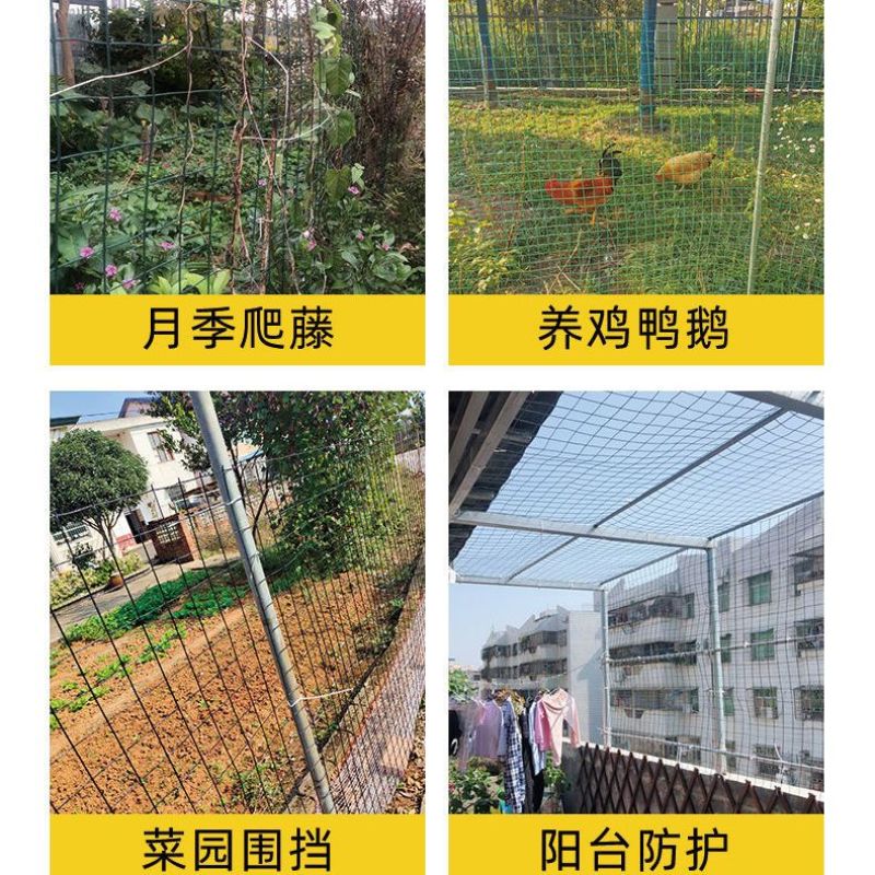 1.5厘防锈小孔铁丝网养鸡鸭鹅养殖网果园菜园围栏阳台鸽兔