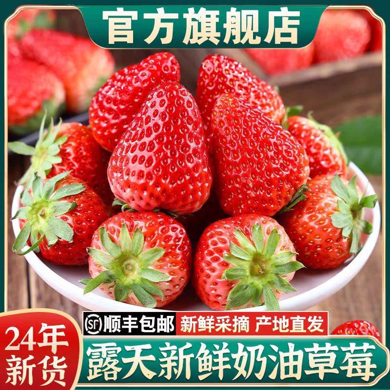 牛商推荐大凉山露天红颜牛奶草莓全国电商一件代发社区团购