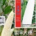 【国审】京糯832糯玉米种子大棒型穗型好看耐热