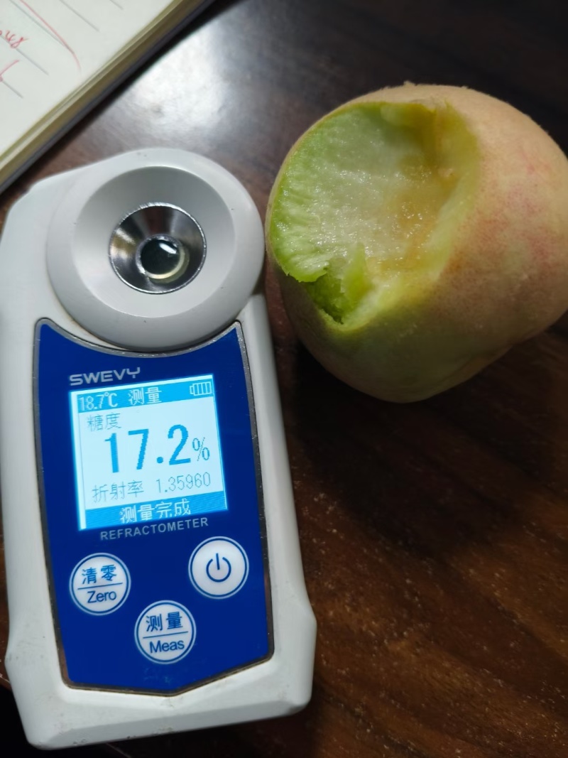 山东冬桃，脆甜，含糖17-18个糖，产地直发，量大质优