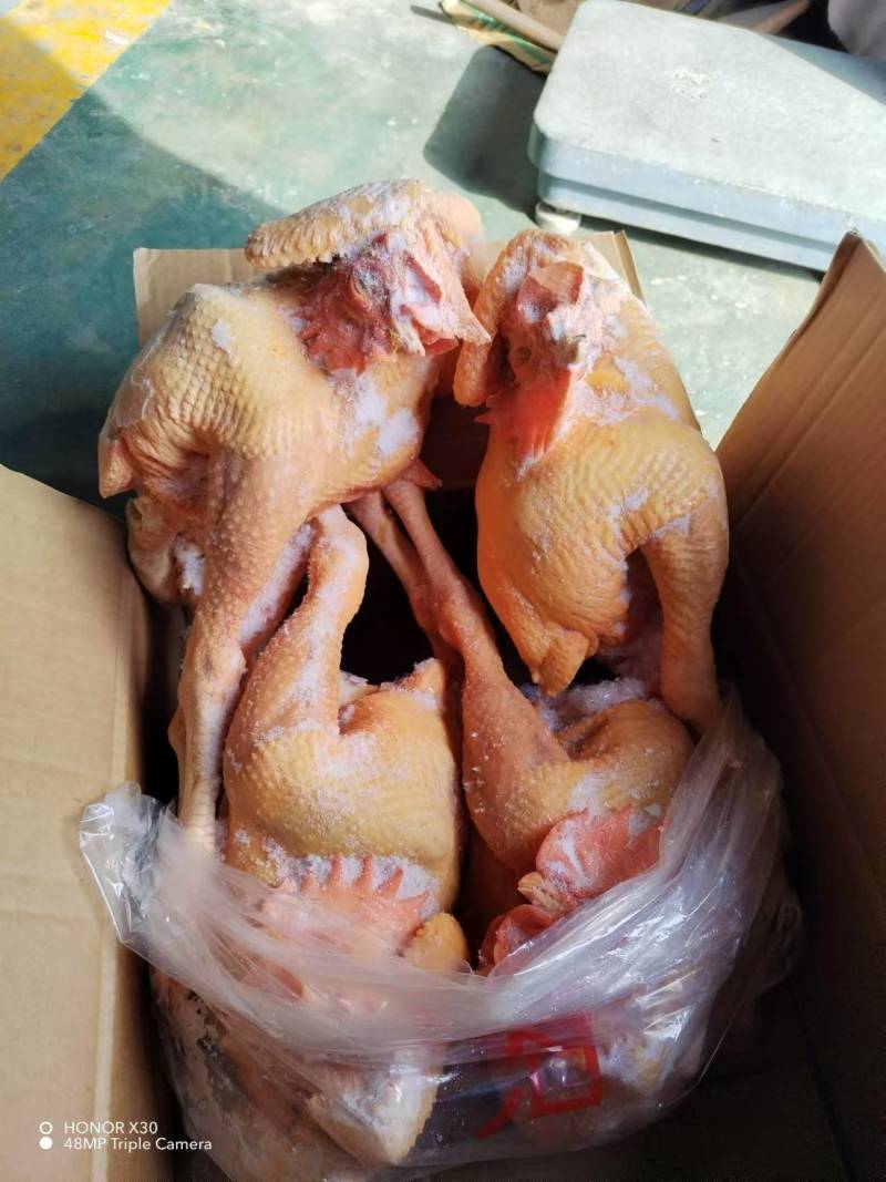 大官公鸡冻品，工厂直发，全国发货，欢迎来电咨询洽谈业务