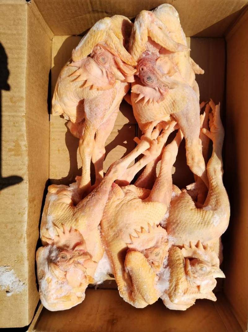 大官公鸡冻品，工厂直发，全国发货，欢迎来电咨询洽谈业务