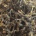 精品梅干菜货源充足一手货源量大从优诚信经营欢迎咨询