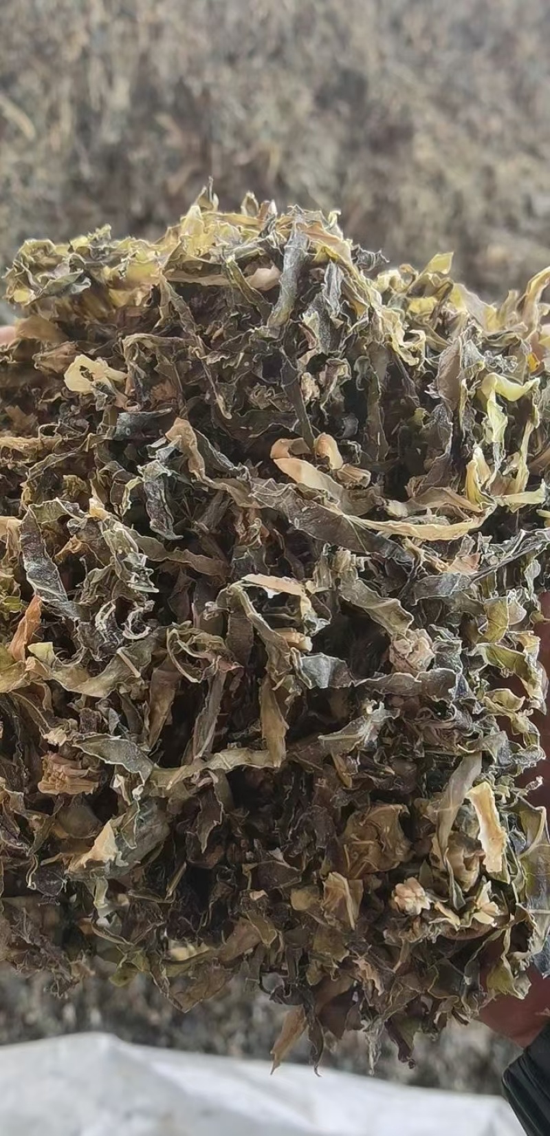 精品梅干菜货源充足一手货源量大从优诚信经营欢迎咨询