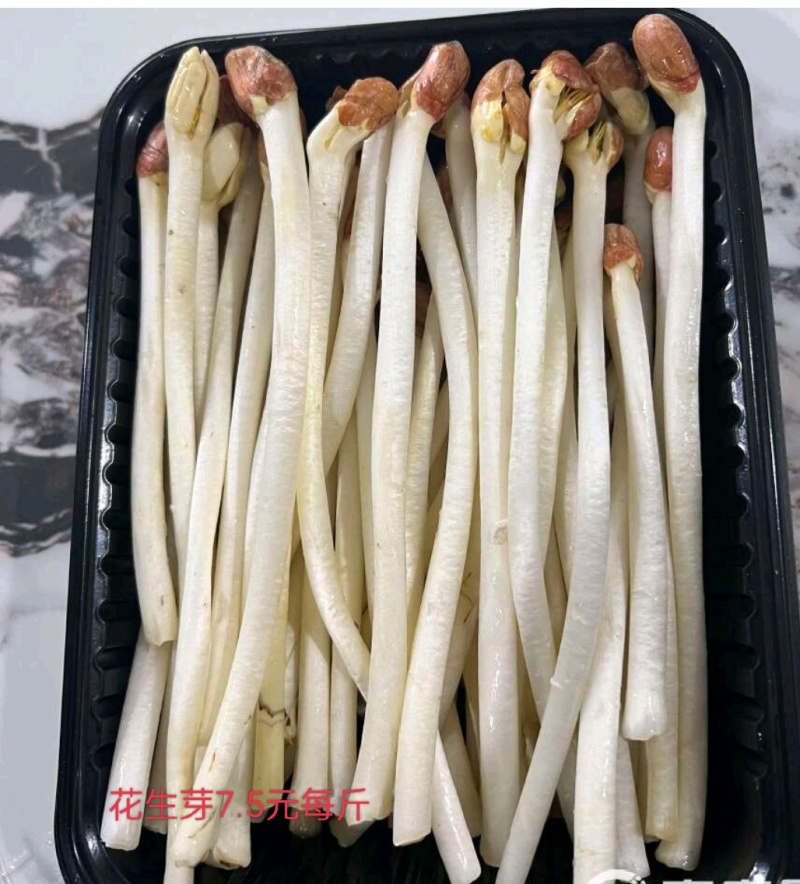 富氧水培育芽苗菜优质花生芽，全国发货，量大从优欢迎咨询