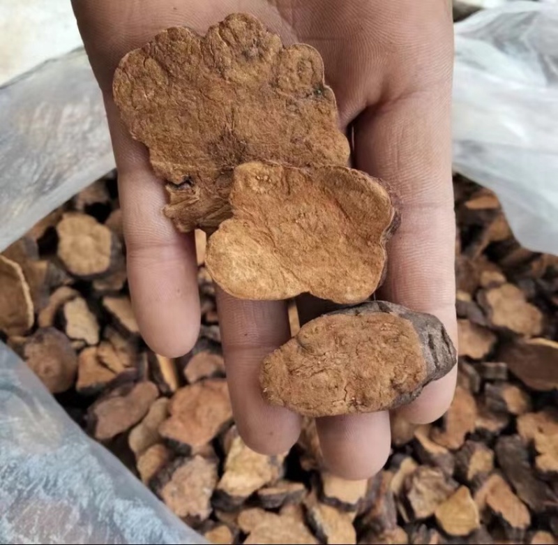 何首乌自然晒干手工切片泡酒煮水泡茶中药材黑发