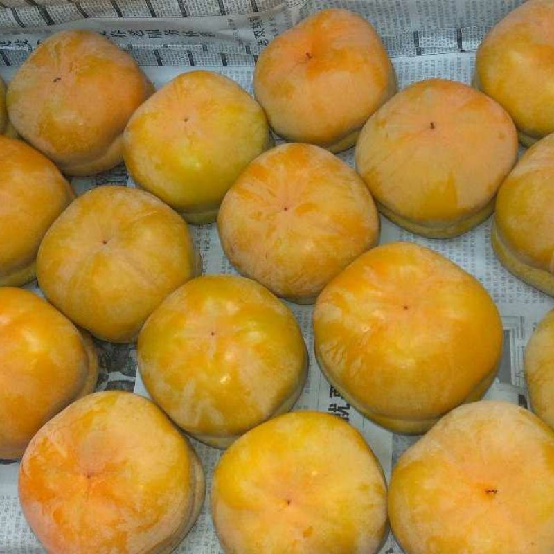 山区大柿子